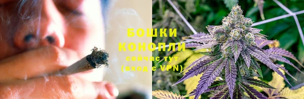 соль ск Белокуриха