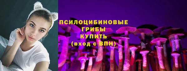 прущий лед Богородицк