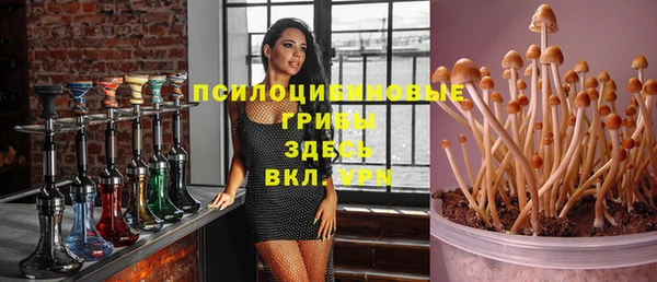 соль ск Белокуриха
