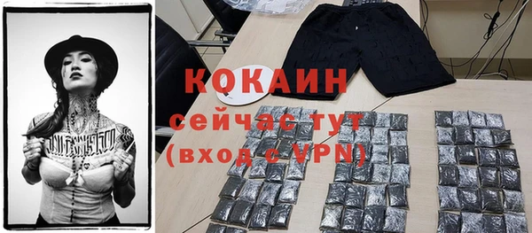 соль ск Белокуриха