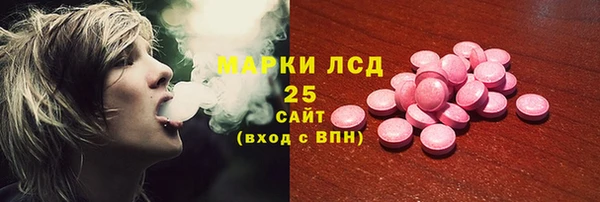 соль ск Белокуриха